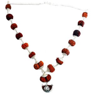 Rudraworld - 1 -14 Mukhi Rudraksha Silver Kantha indonesian beads