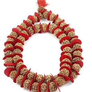 Rudraworld - 5 Mukhi Rudraksha Kantha