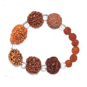 Rudraworld - Brown Rudraksh 2 3 4 5 6 7 Mukhi Beads