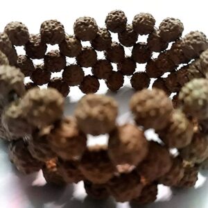Rudraworld - Brown Wooden Stretchable 5 Mukhi Rudraksha Beads Bracelet