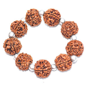 Rudraworld - Charming 5 Mukhi Rudraksha & Parad Beads Bracelet