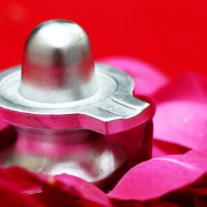 Rudraworld - Mercury Shiv Linga 160gm