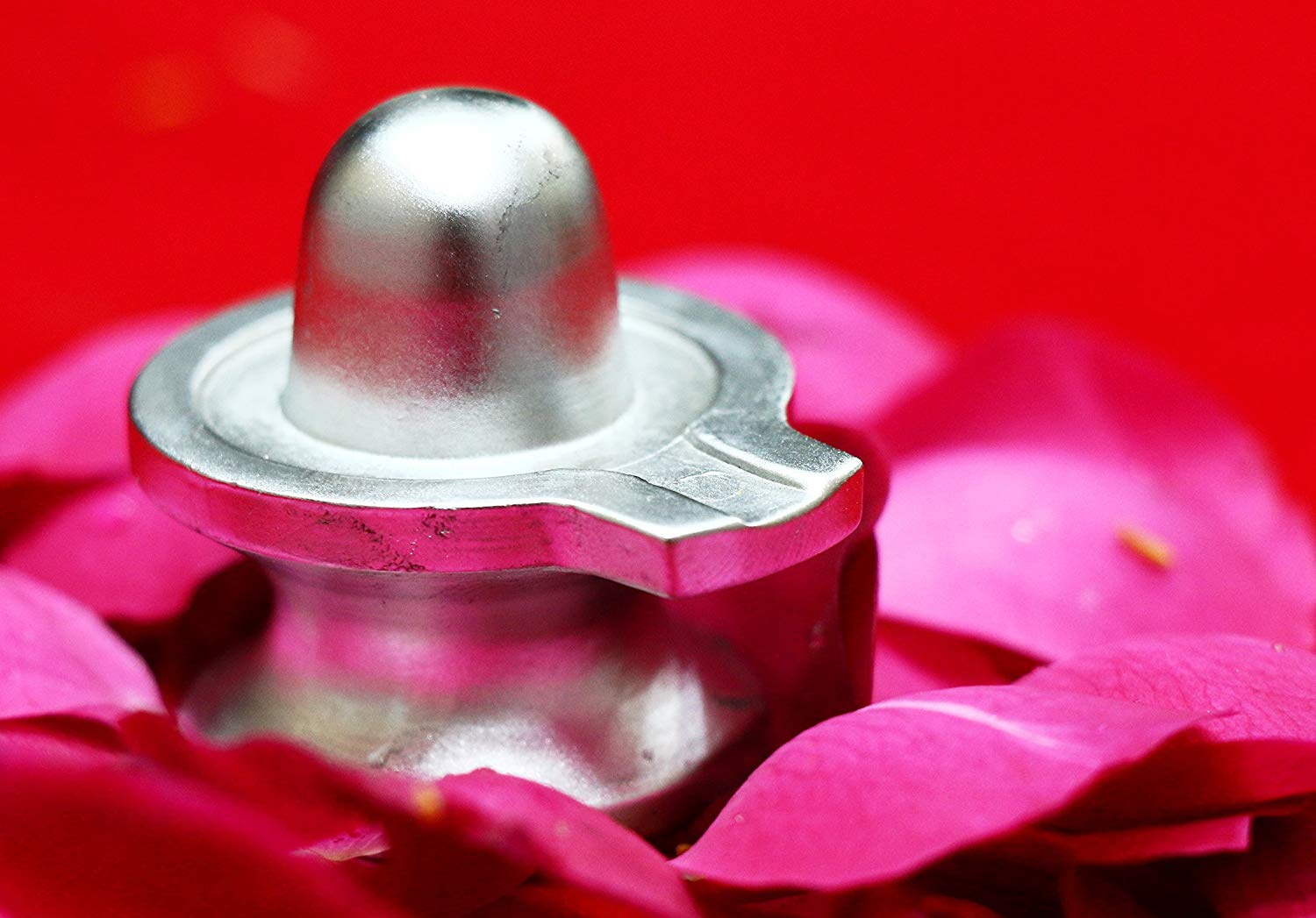 Rudraworld - Mercury Shiv Linga 160gm