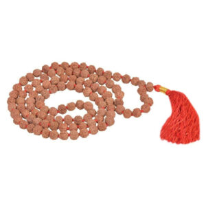 Rudraworld - Rudraksha Pathariya Mala 108 Beads