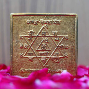 Rudraworld - Shree Vastu Devta Yantra